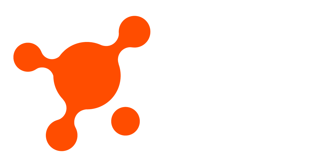 STW Brasil Logo